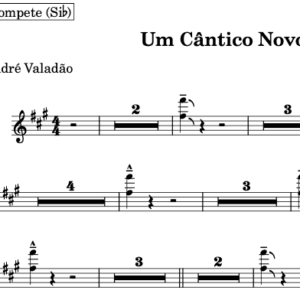 Partitura do Naipe de Metais - Cântico Novo (André Valadão)
