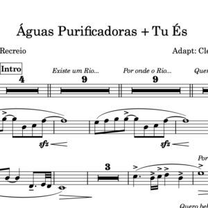 Partitura Gospel Naipe de Metais da Música "Aguas Purificadoras" - Igreja do Recreio